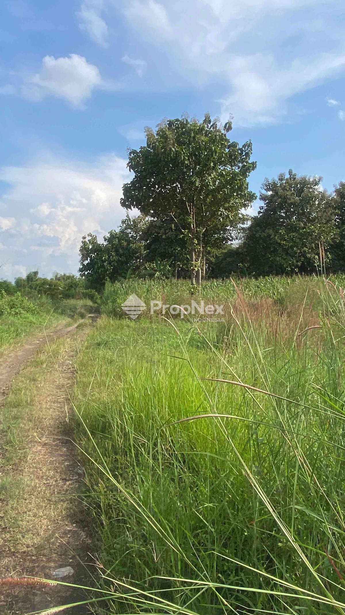 Tanah Kedamean Driyorejo — foto 3